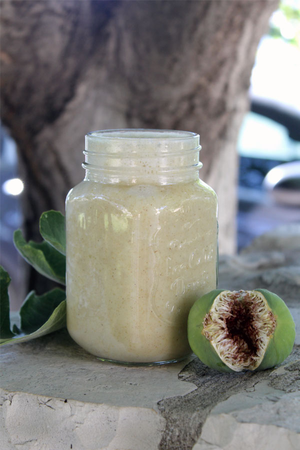 fig-smoothie-003