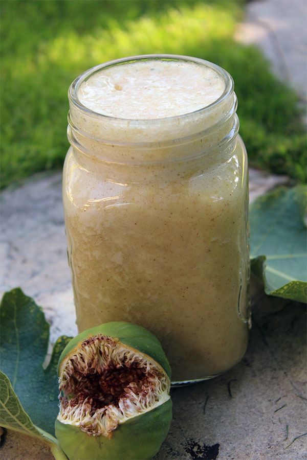 fig-smoothie-005