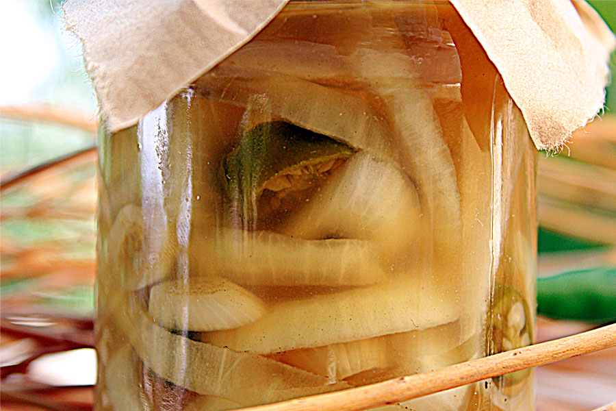 pickled-onions-003