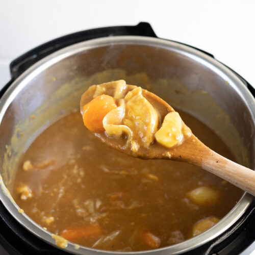 http://annacookingconcept.com/wp-content/uploads/2023/06/instant-pot-japanese-chicken-curry-1-of-6-500x500.jpg